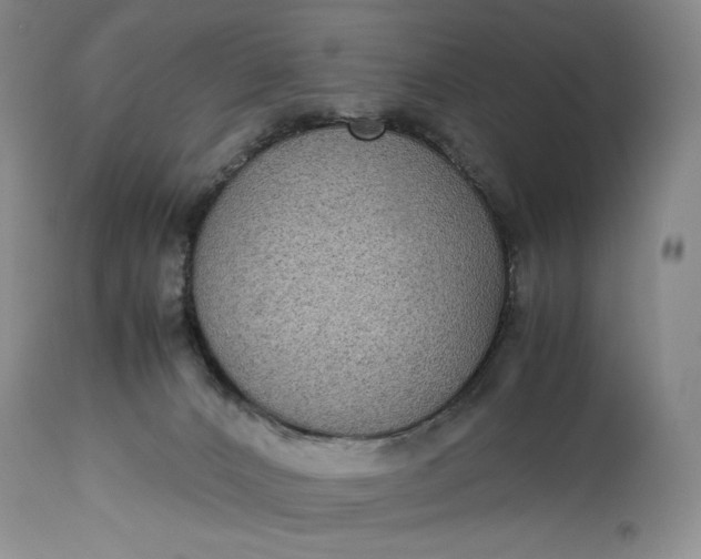 X0000114190032200910231331