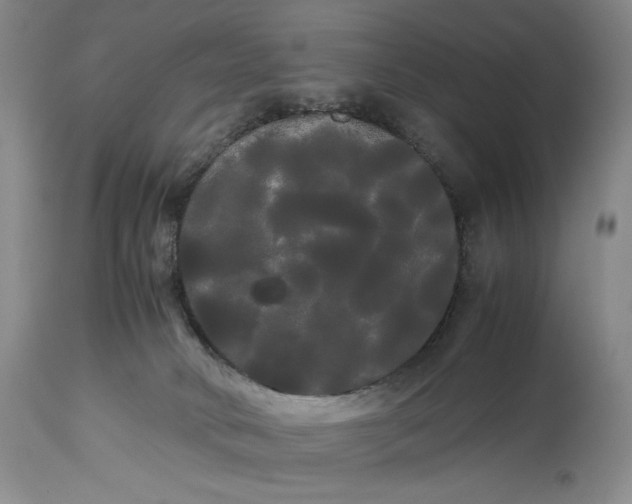 X0000114190034200910231331