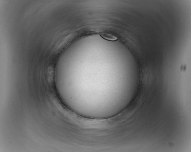 X0000114190036200910231331
