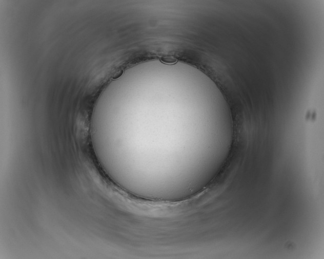 X0000114190040200910231331