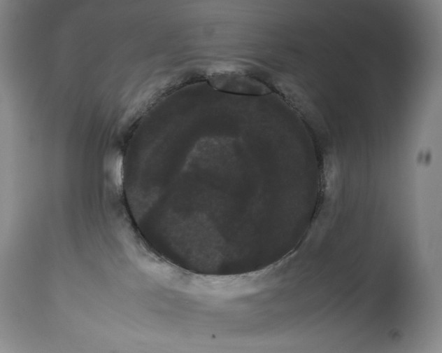 X0000114190041200910231331