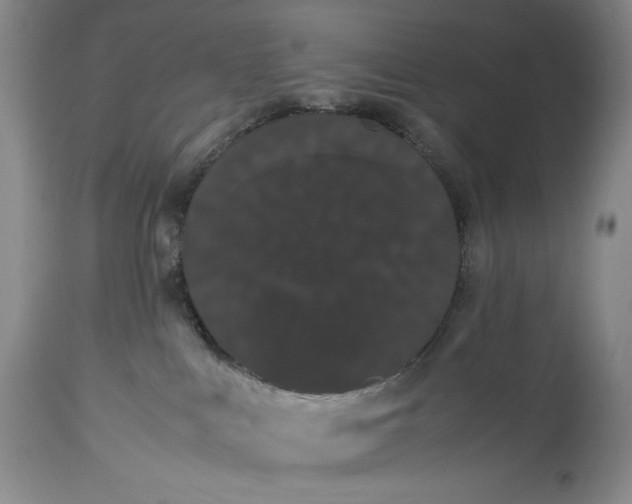 X0000114190043200910231331