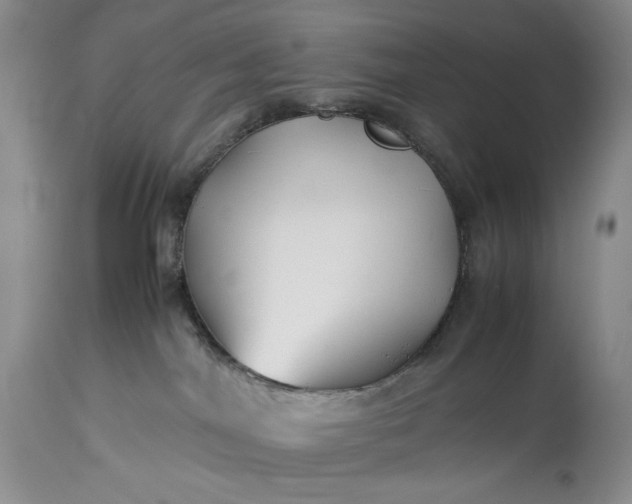 X0000114190044200910231331