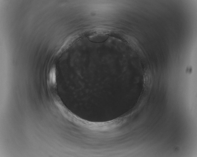 X0000114190046200910231331