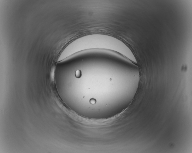 X0000114190047200910231331