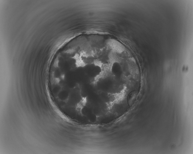 X0000114190049200910231330