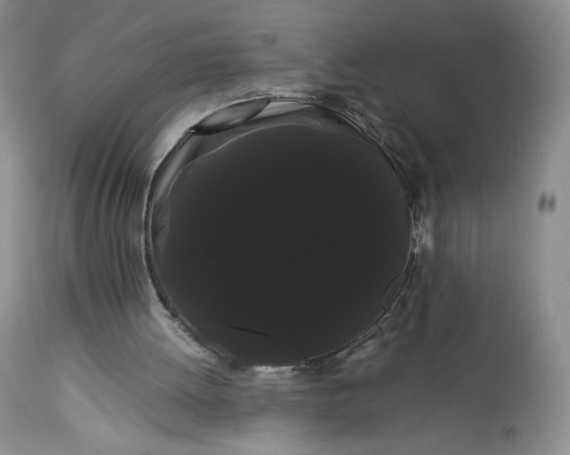 X0000114190052200910231330