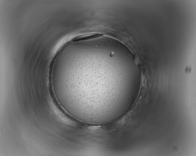 X0000114190054200910231330
