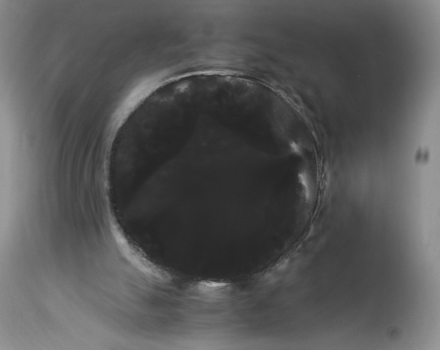 X0000114190055200910231330