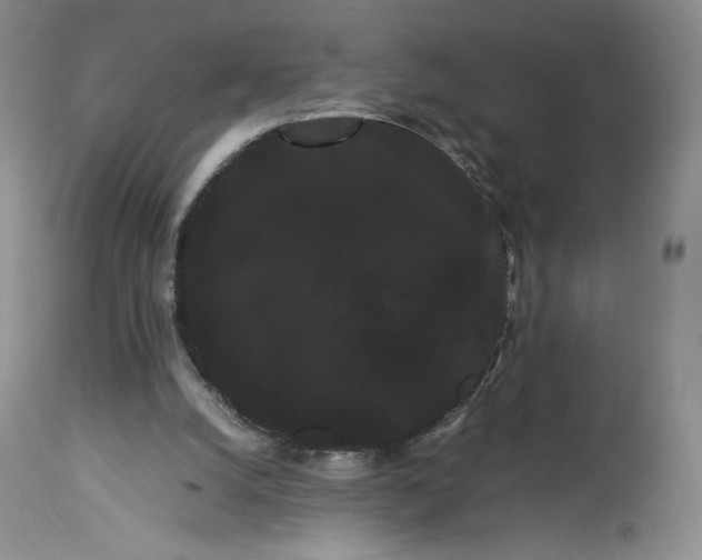 X0000114190056200910231330