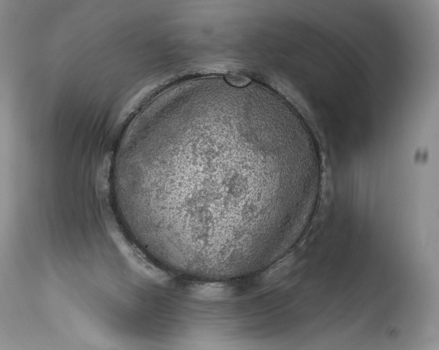 X0000114190058200910231330