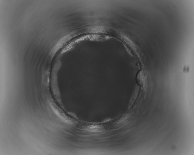 X0000114190059200910231330