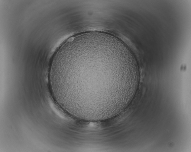 X0000114190060200910231330