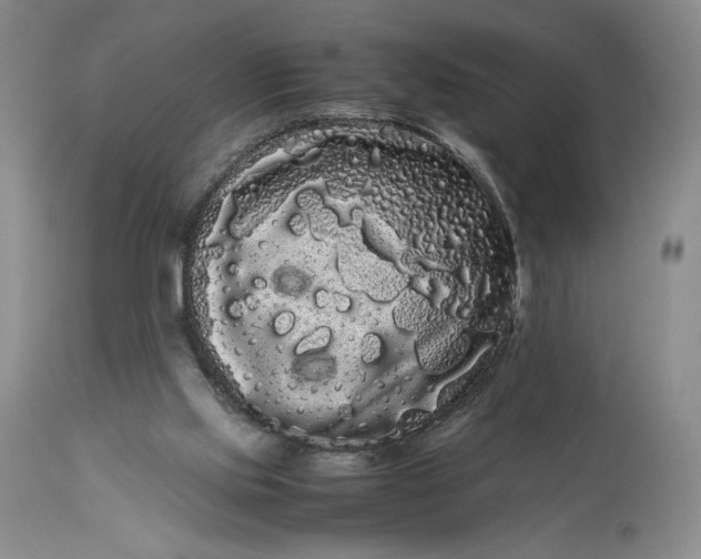 X0000114190061200910231330