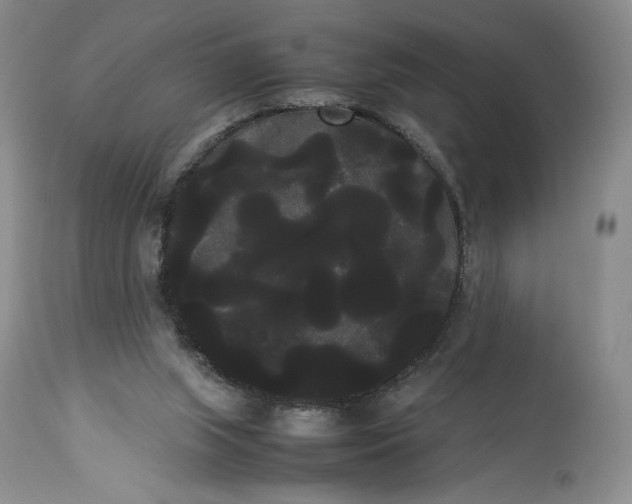 X0000114190063200910231330
