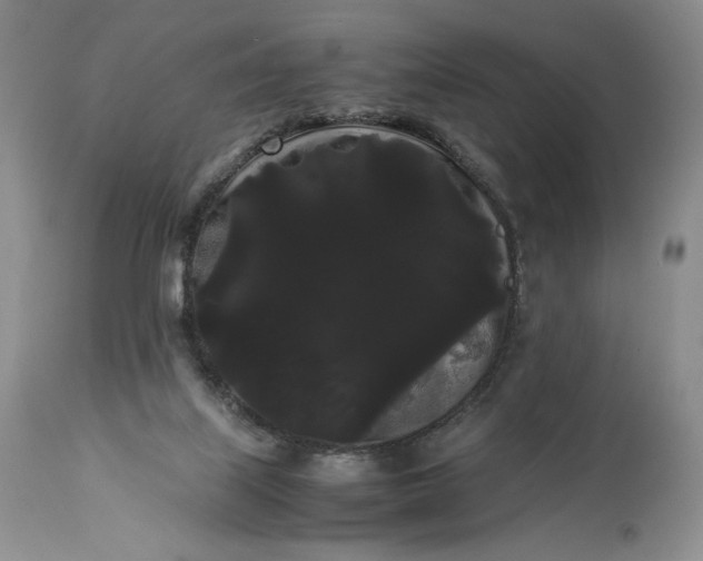 X0000114190067200910231330