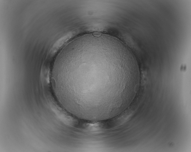 X0000114190068200910231330