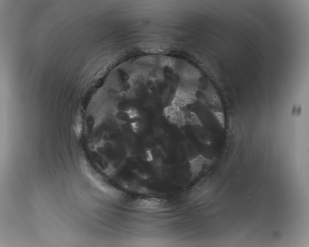 X0000114190069200910231330