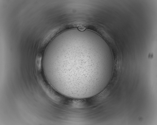 X0000114190070200910231330
