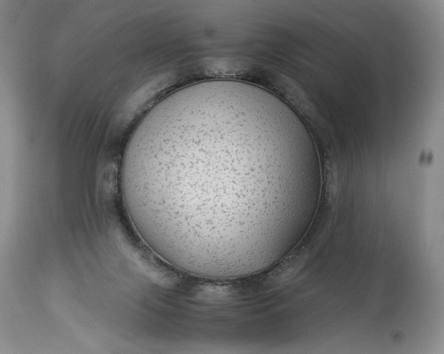 X0000114190071200910231330