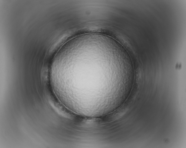 X0000114190072200910231330