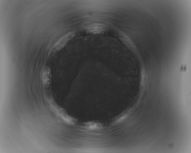 X0000114190073200910231330