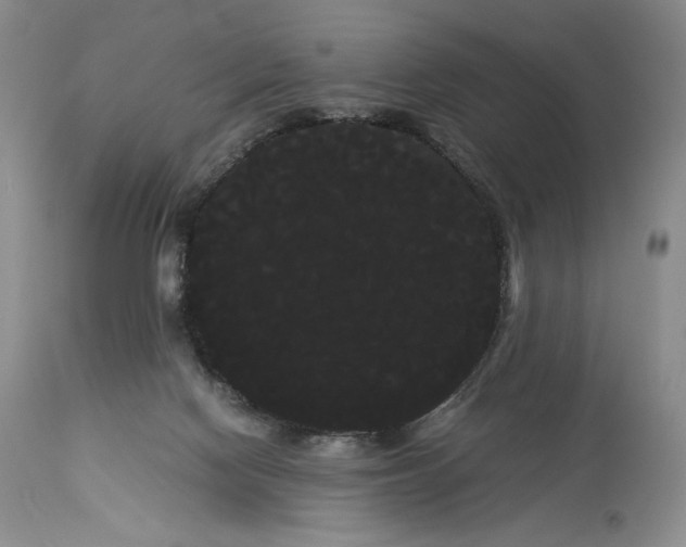 X0000114190074200910231330
