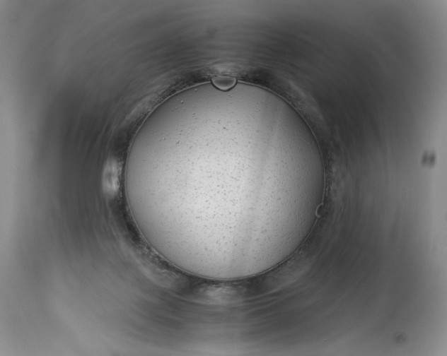 X0000114190075200910231330