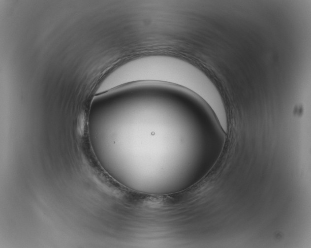 X0000114190076200910231330