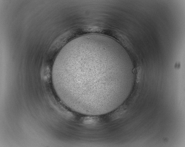 X0000114190077200910231330