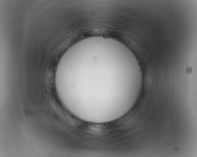 X0000114190079200910231330