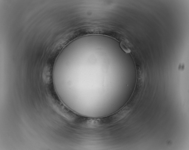 X0000114190080200910231330