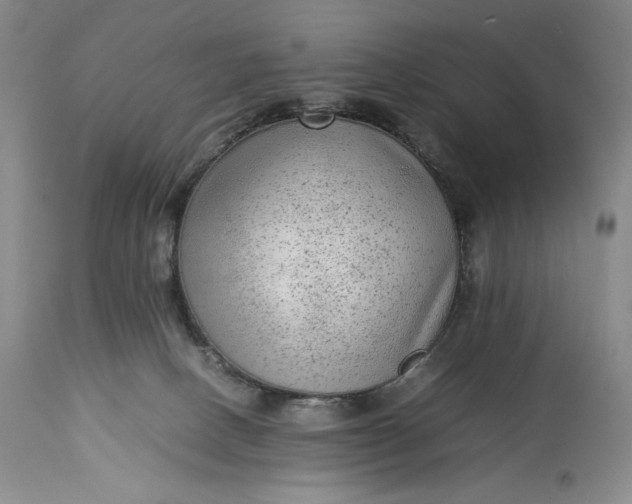 X0000114190082200910231330