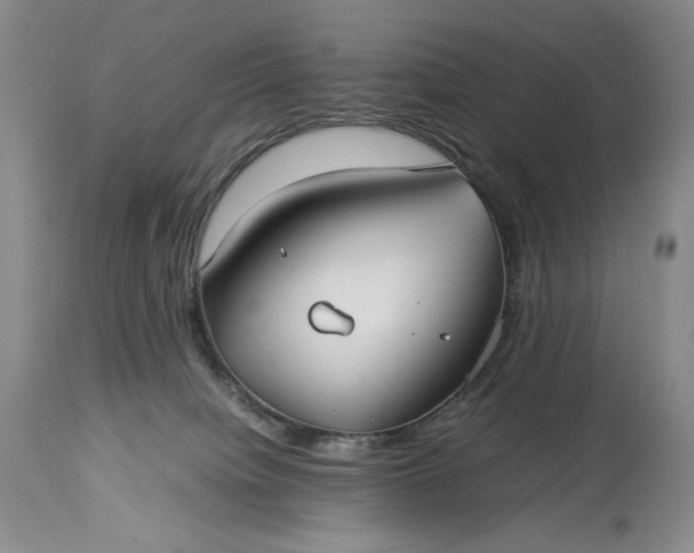 X0000114190084200910231330