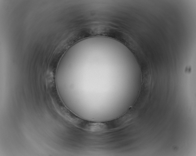 X0000114190087200910231330