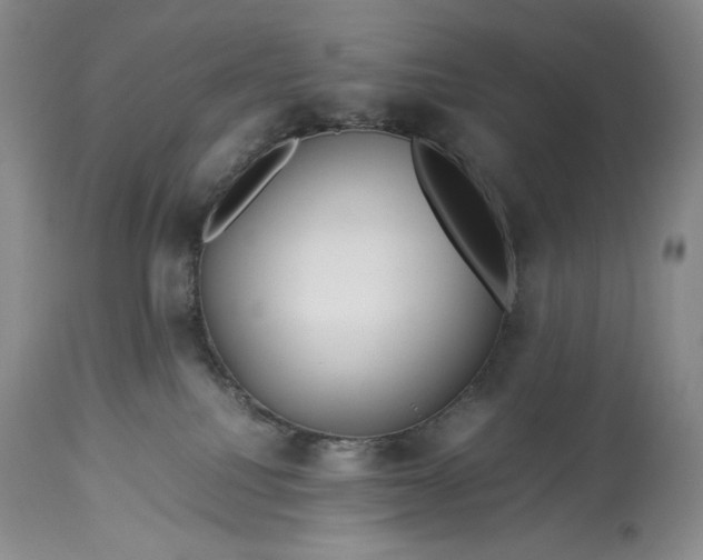 X0000114190088200910231330