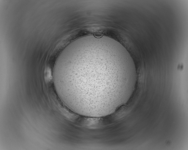 X0000114190089200910231330