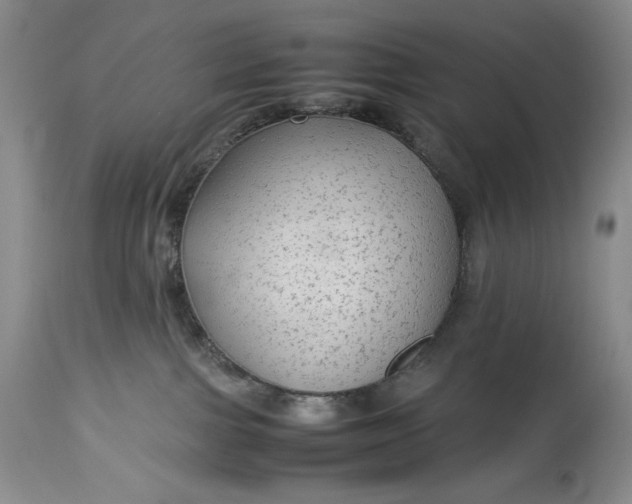 X0000114190091200910231330