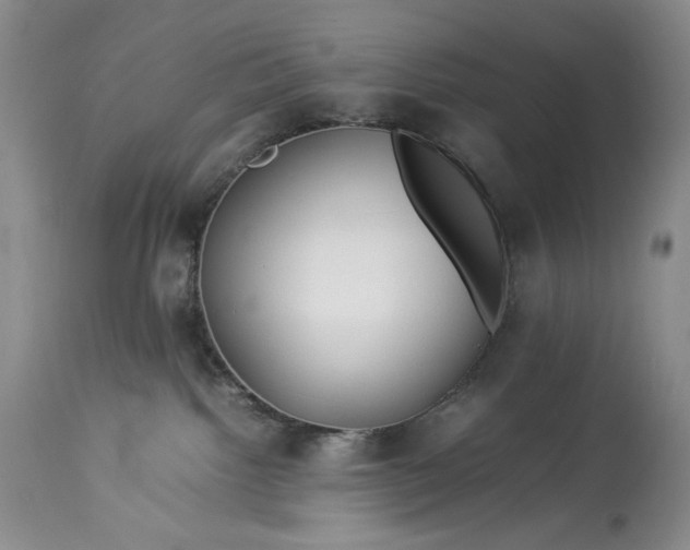 X0000114190092200910231330