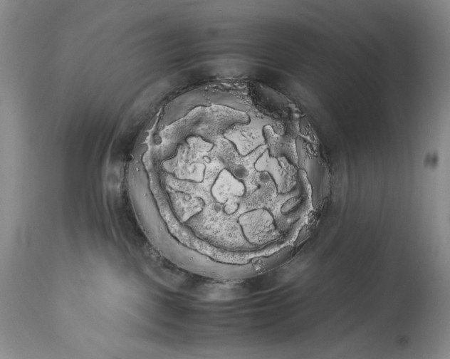X0000114190093200910231331