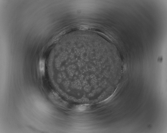 X0000114190094200910231331