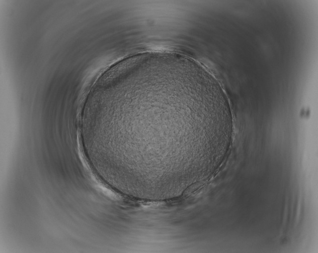 X0000114190097200910231330
