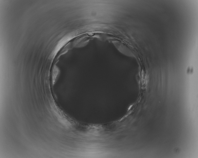 X0000114190099200910231330