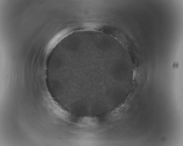 X0000114190101200910231330