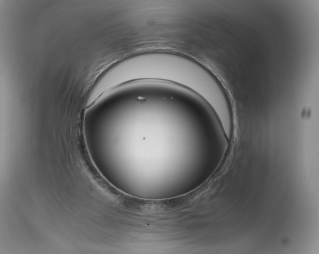 X0000114190105200910231330