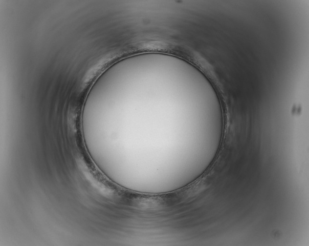 X0000114190106200910231330