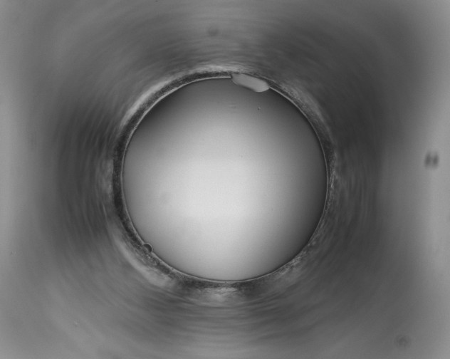 X0000114190108200910231330