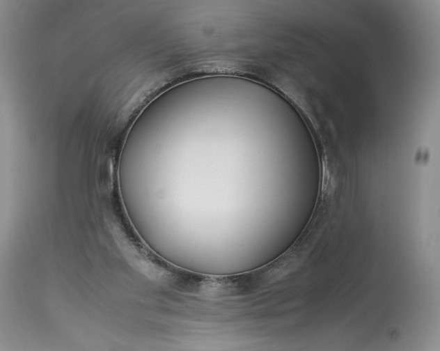X0000114190109200910231330