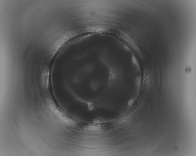 X0000114190110200910231330