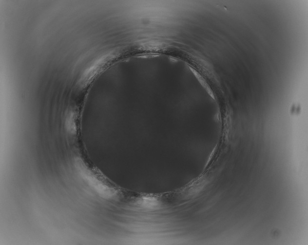 X0000114190114200910231329